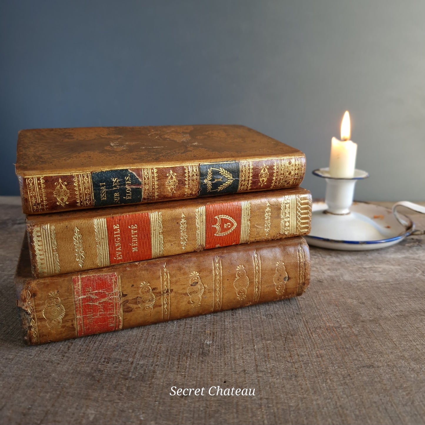 French antique books. French 19th century leather bound books.