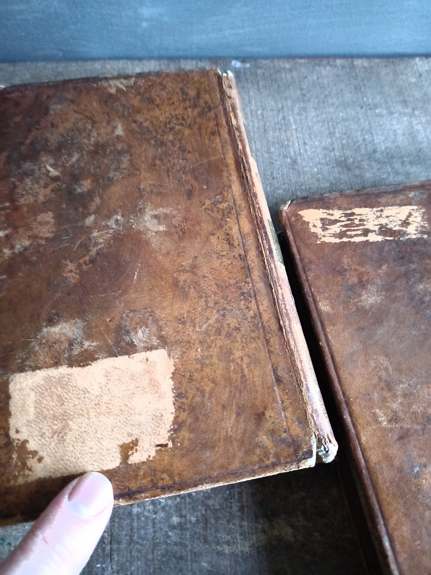 Antique books. French antique books.