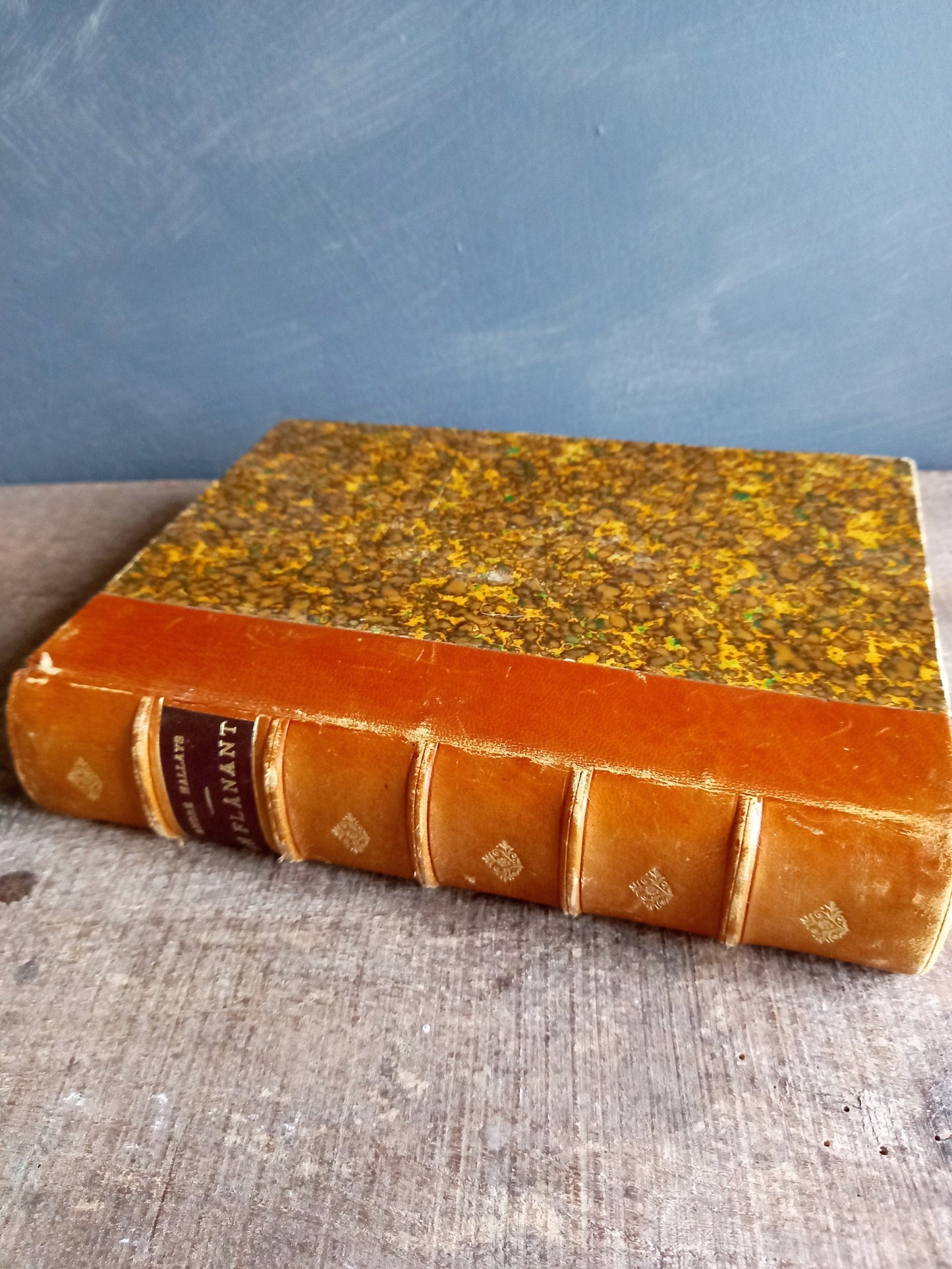 French antique book. Antique book. 19th century book. 1899 book.
