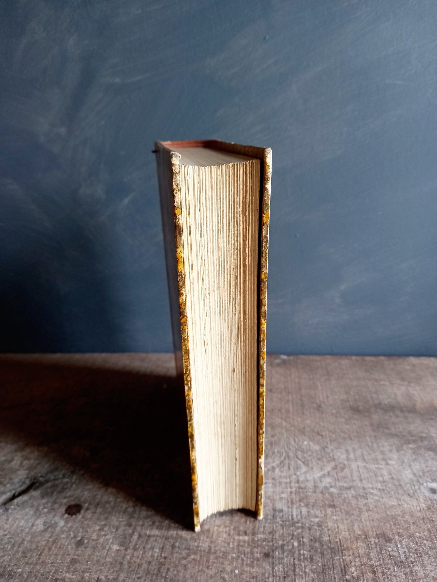 French antique book. Antique book. 19th century book. 1899 book.