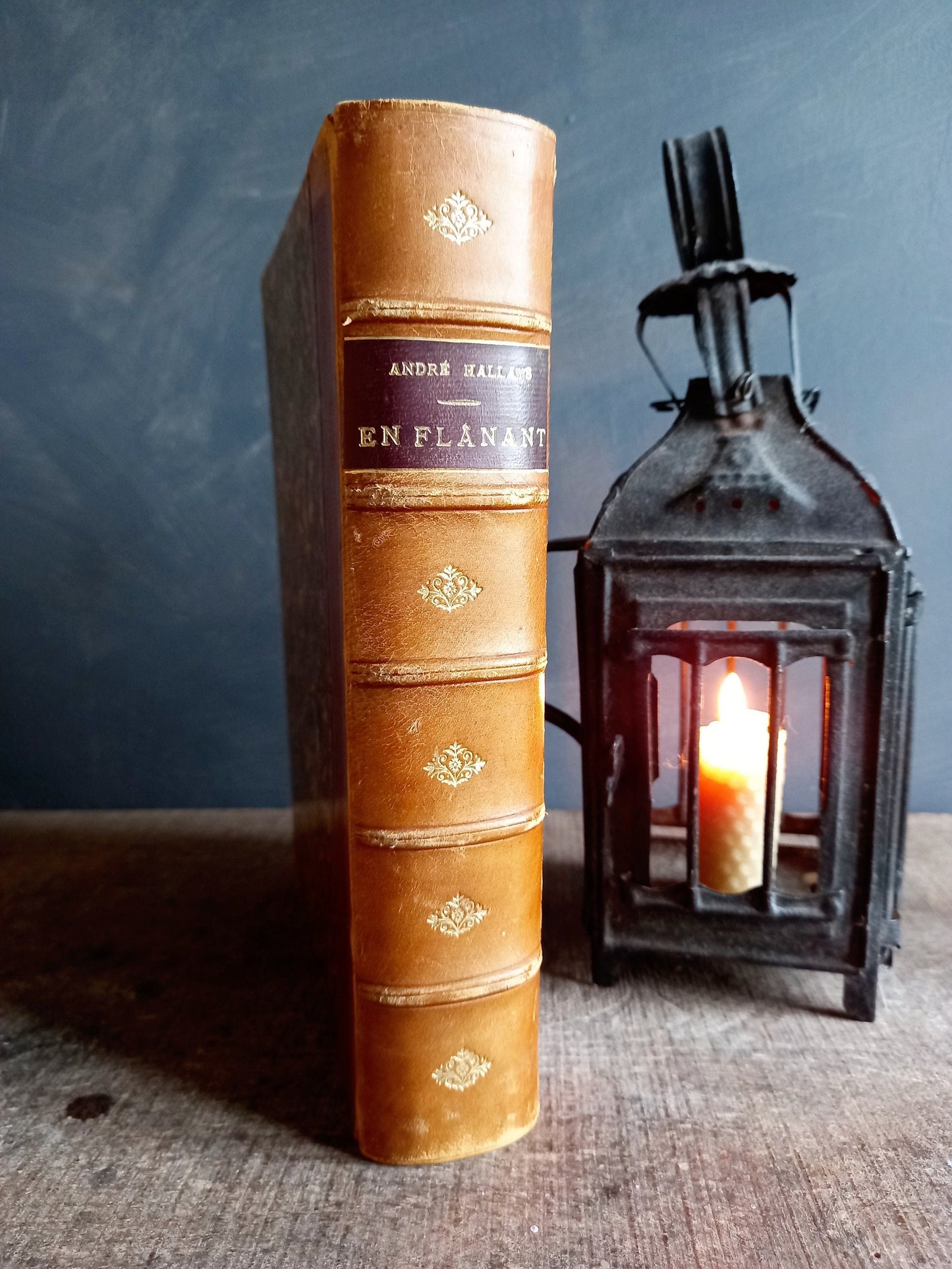 French antique book. Antique book. 19th century book. 1899 book.