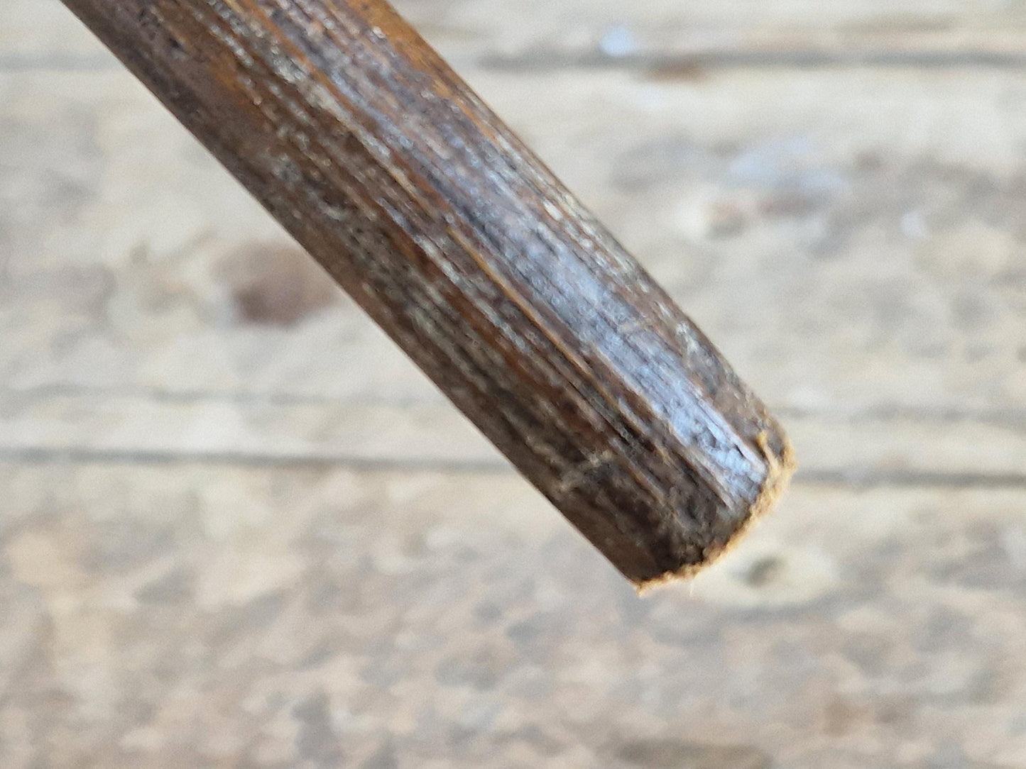 French Art Nouveau walking cane. Dogs head antique walking stick.