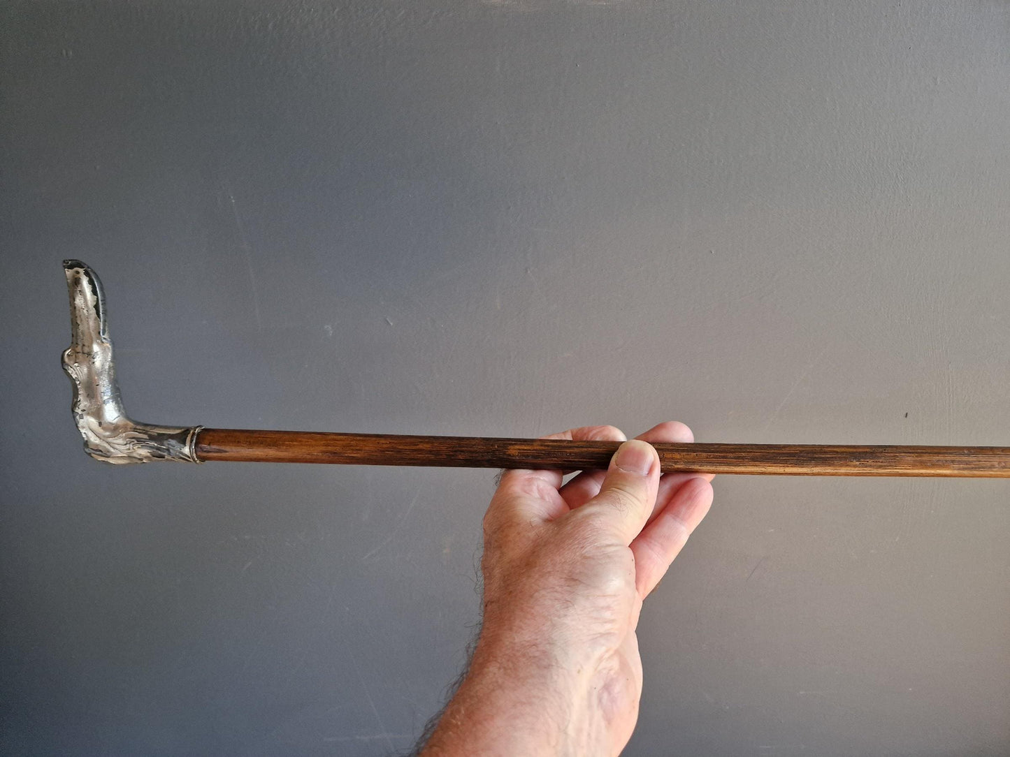 French Art Nouveau walking cane. Dogs head antique walking stick.