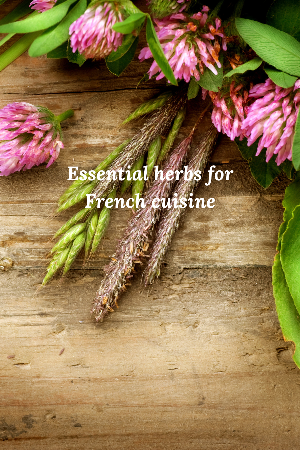 5 Traditional herbs for your French cuisine.