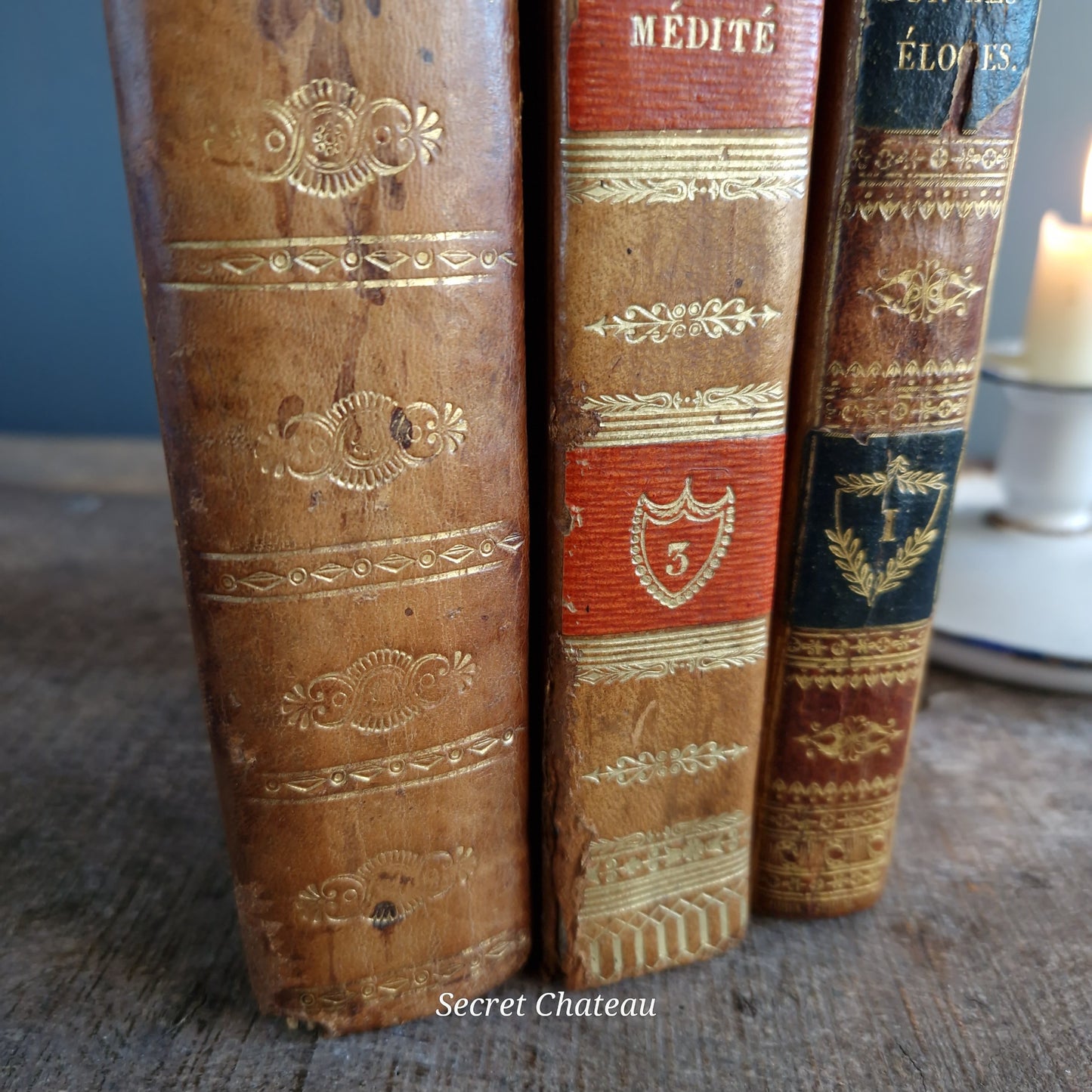 French antique books.  French 19th century leather bound  books.