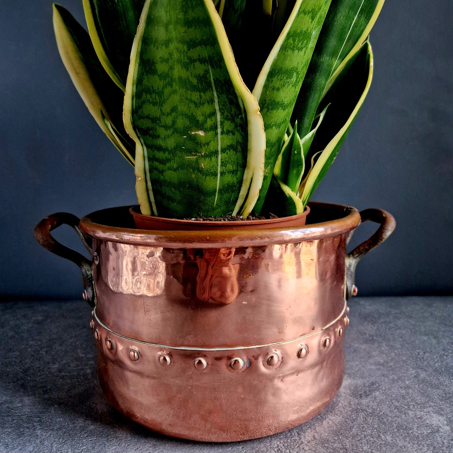 French copper planter