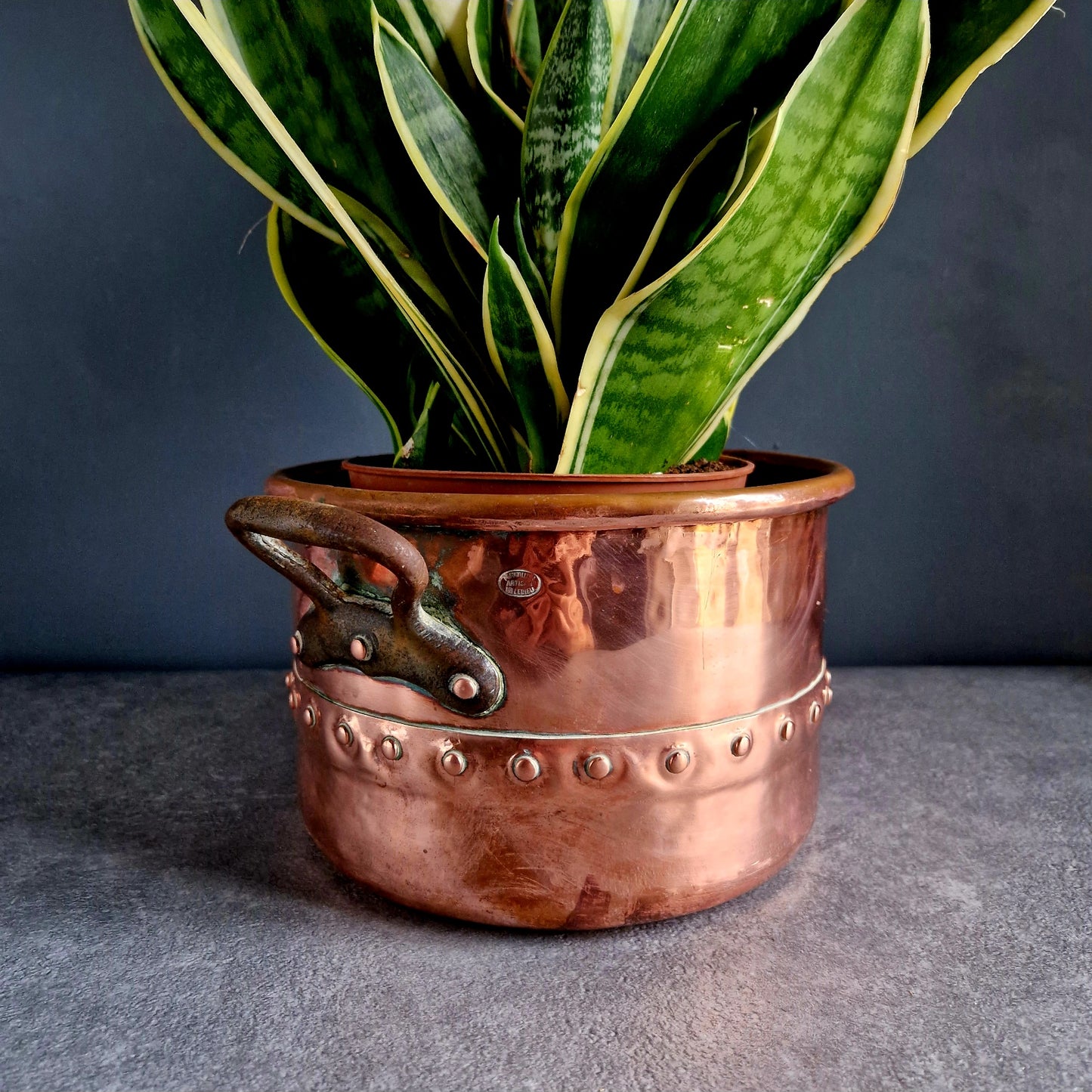 French copper planter