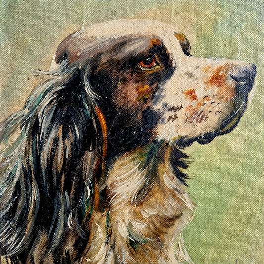 Frans vintage schilderij van een spaniël. Gesigneerd origineel olieverf op doek van een hond.