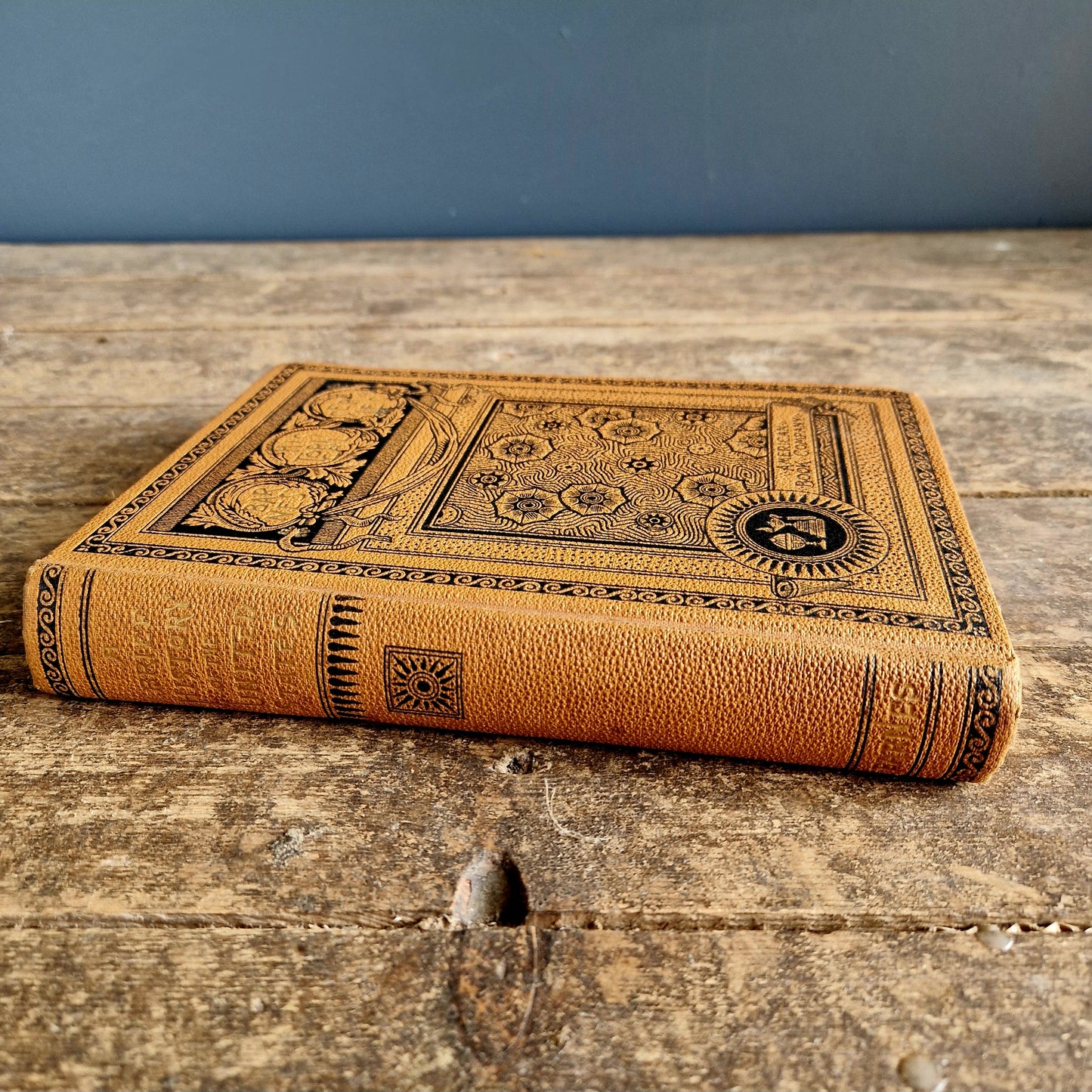 Antique American book. A brief history of the United States.