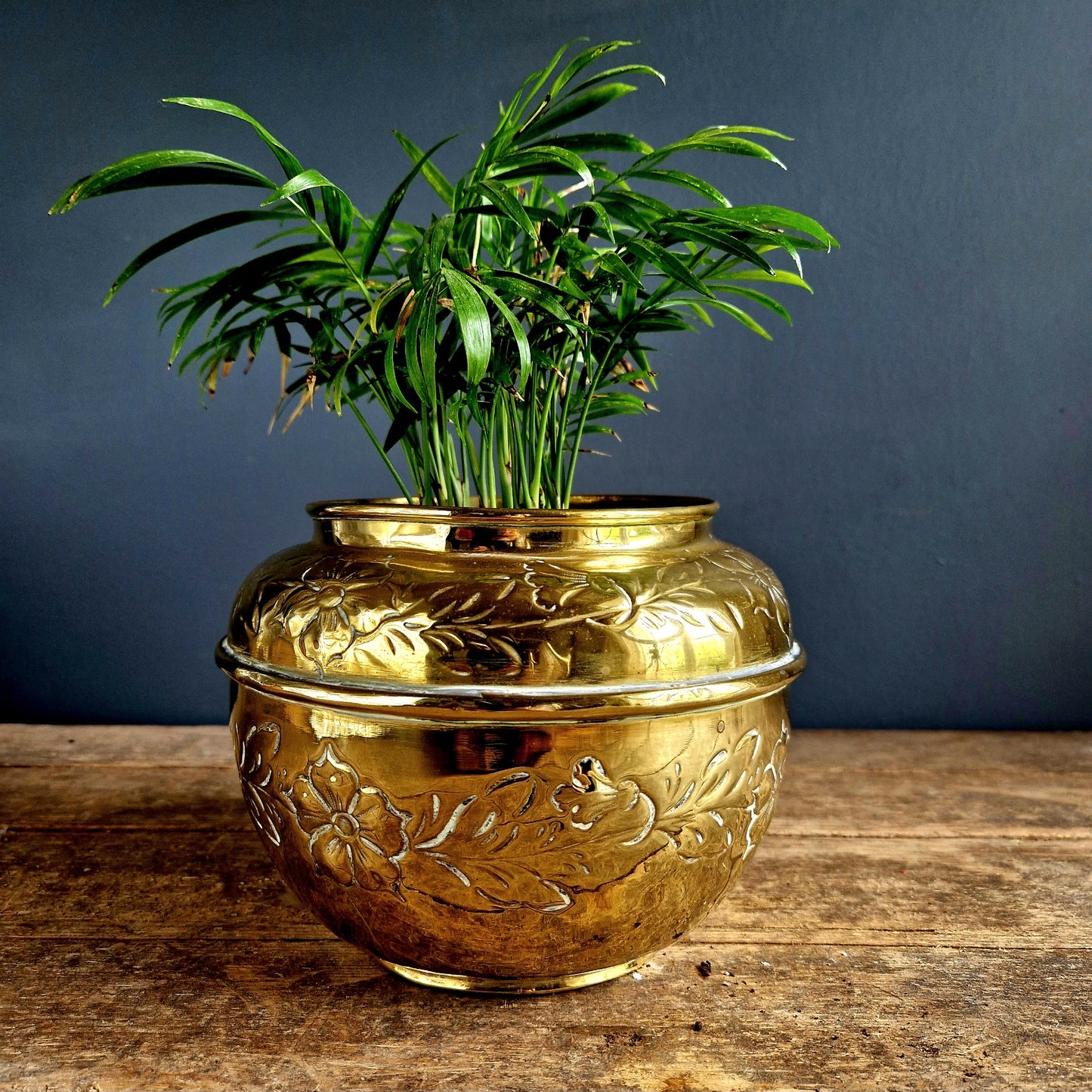 French brass vintage planter. French gardener.