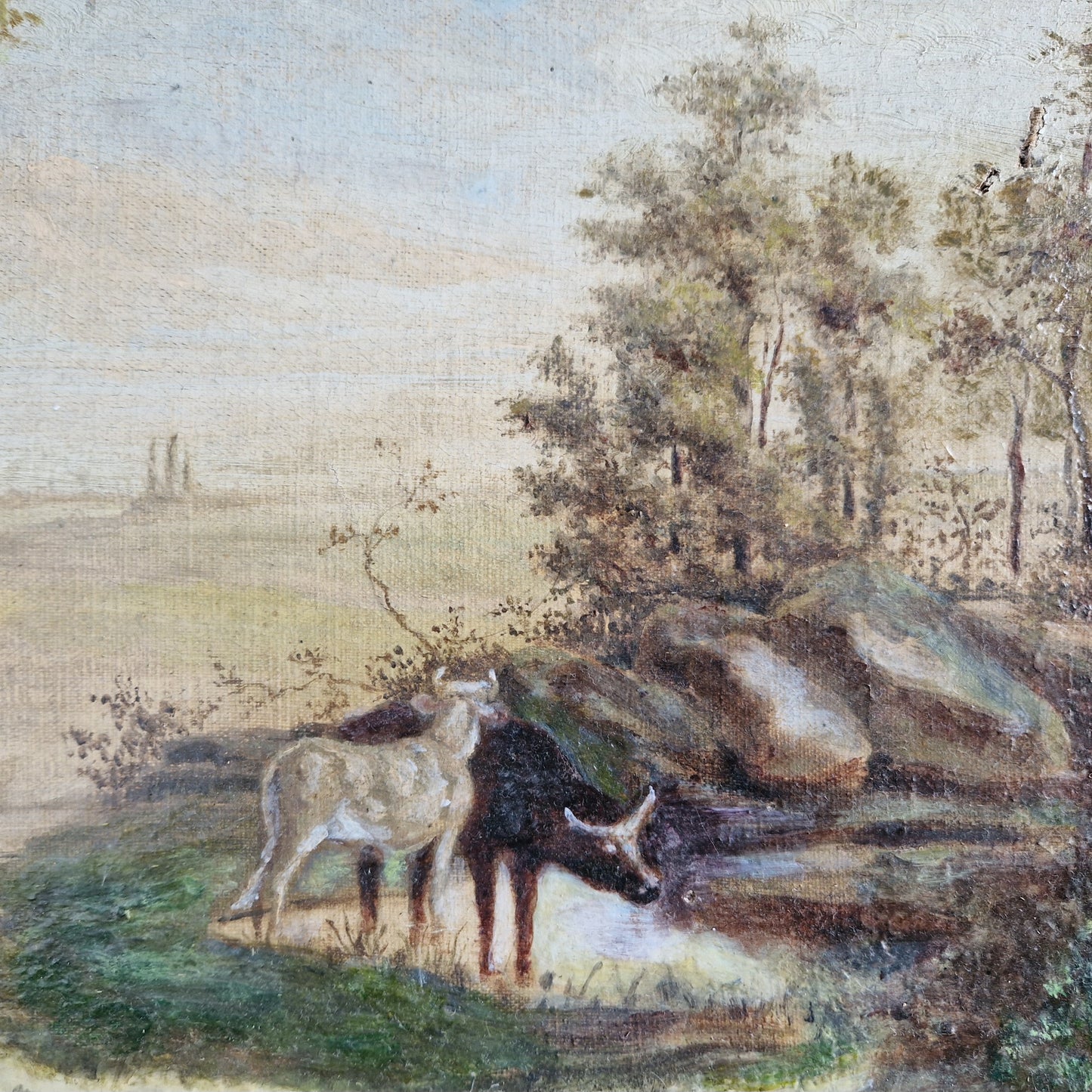 French antique cattle painting. Old French oil on canvas.