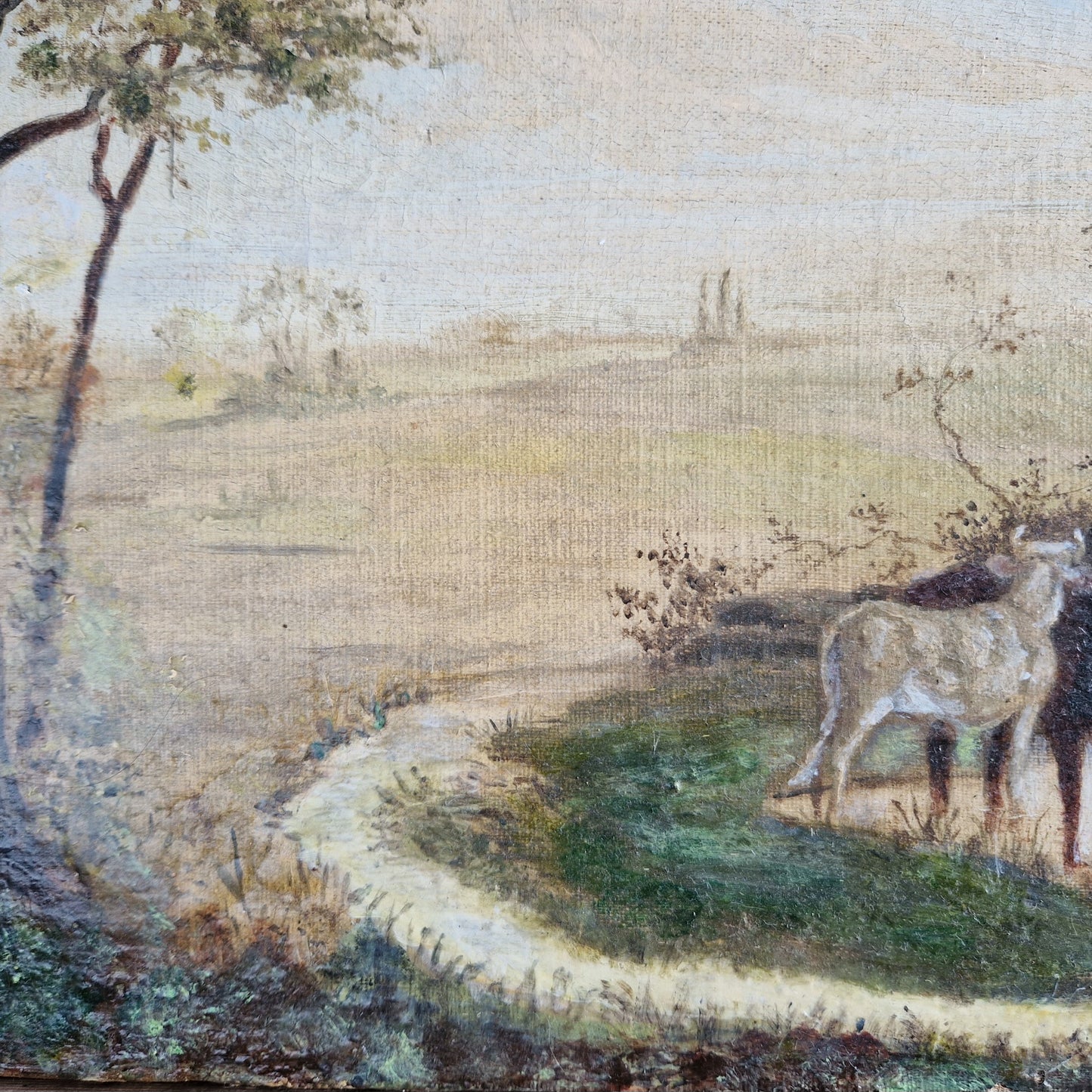 French antique cattle painting. Old French oil on canvas.