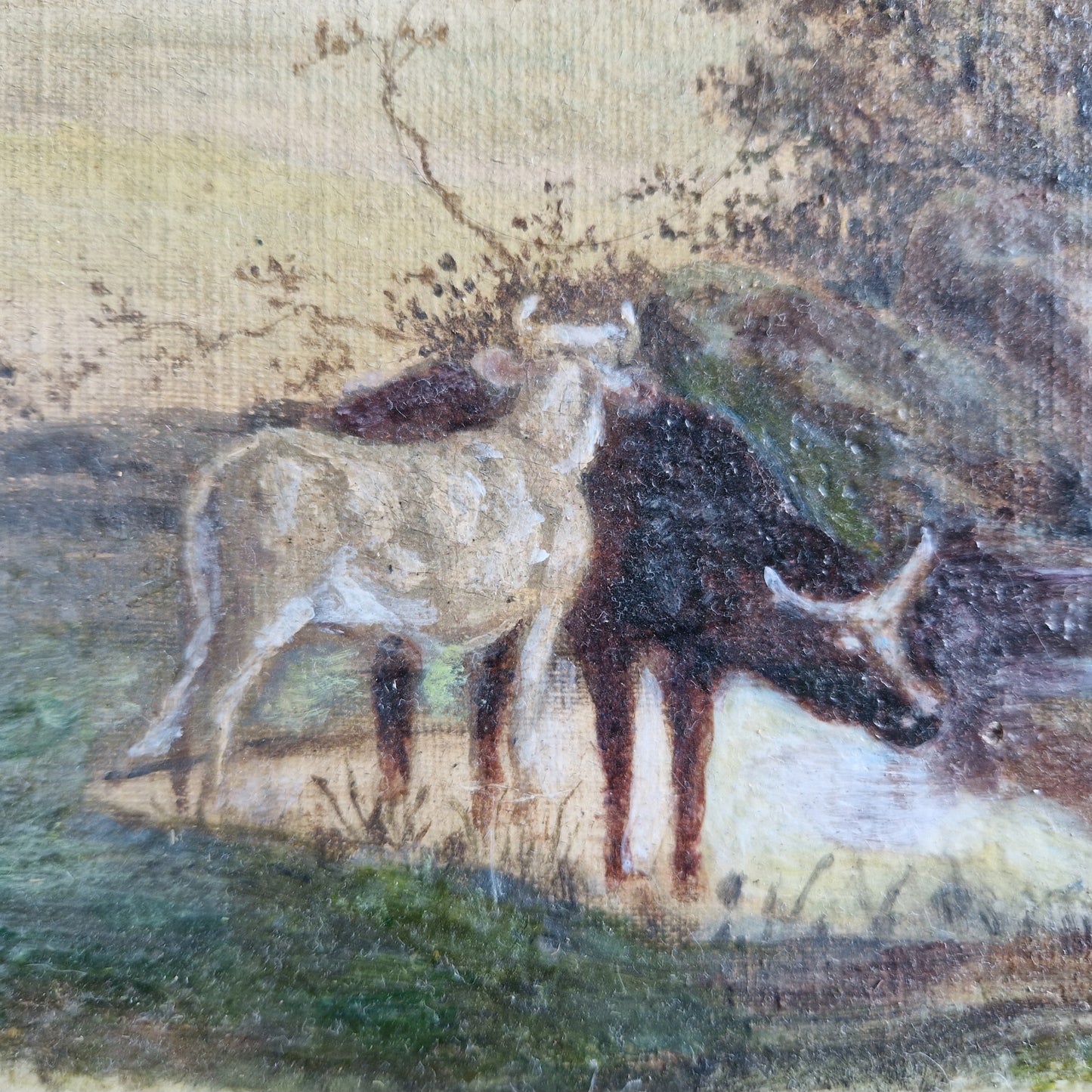 French antique cattle painting. Old French oil on canvas.