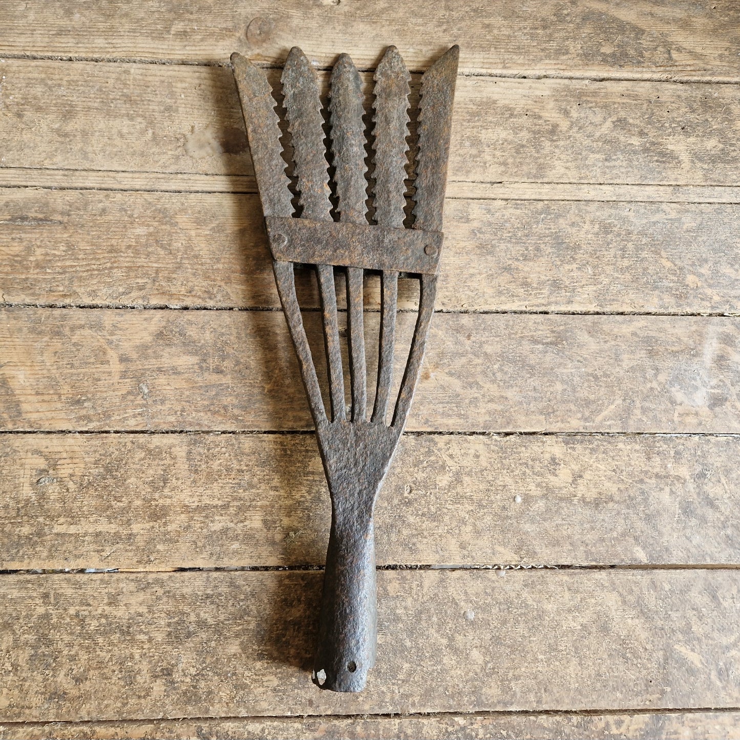 French antique eel fork. Folk art fish catching tool.