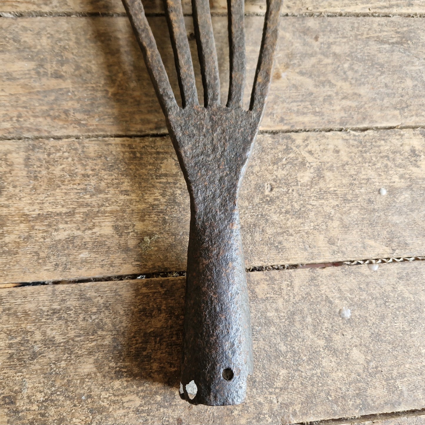 French antique eel fork. Folk art fish catching tool.