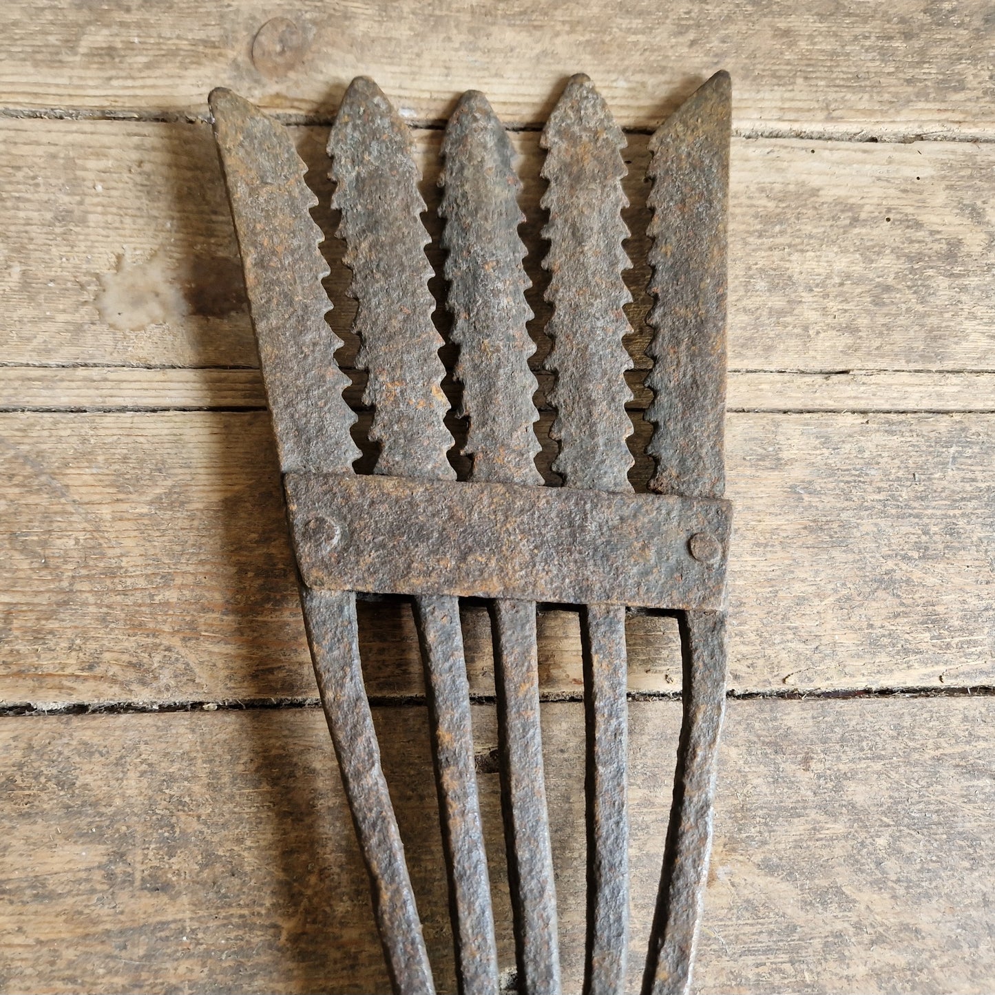 French antique eel fork. Folk art fish catching tool.