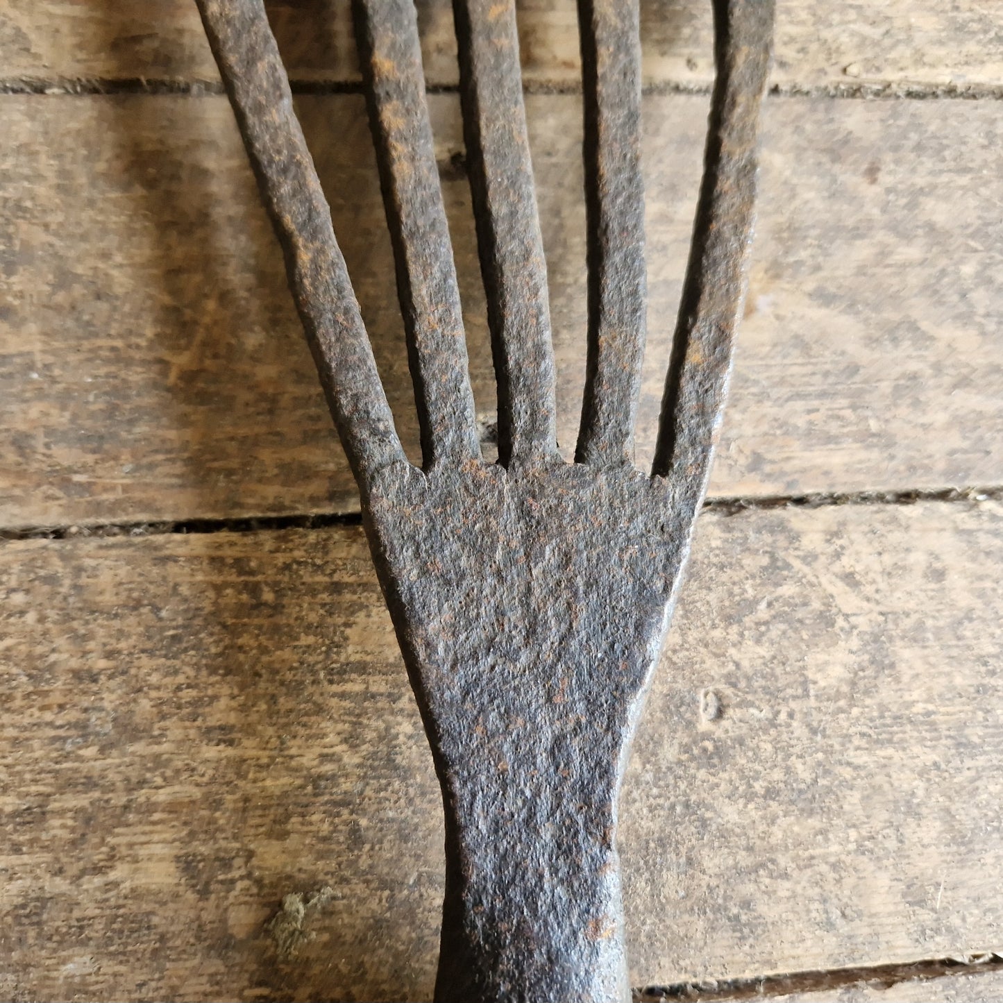 French antique eel fork. Folk art fish catching tool.