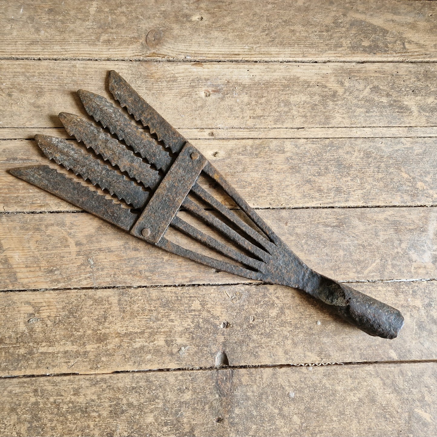 French antique eel fork. Folk art fish catching tool.