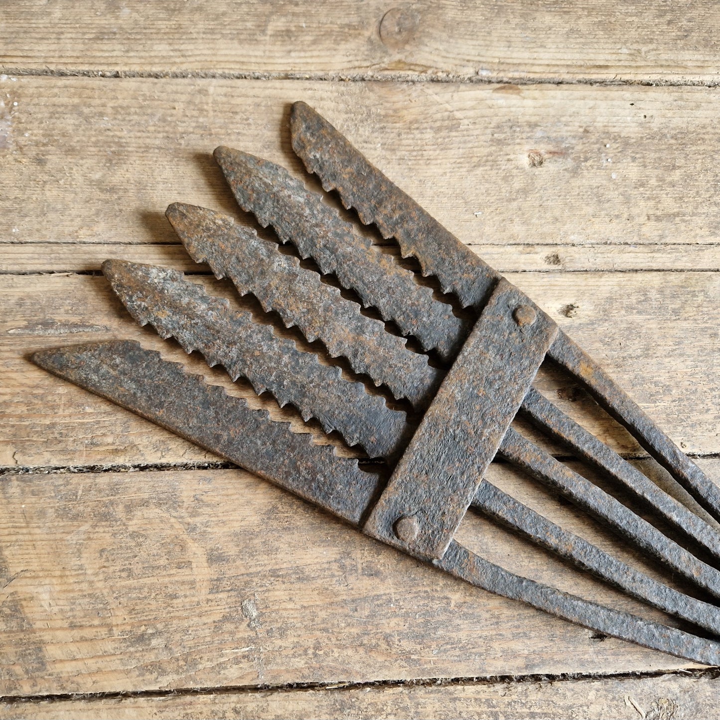 antique eel fork on rustic background