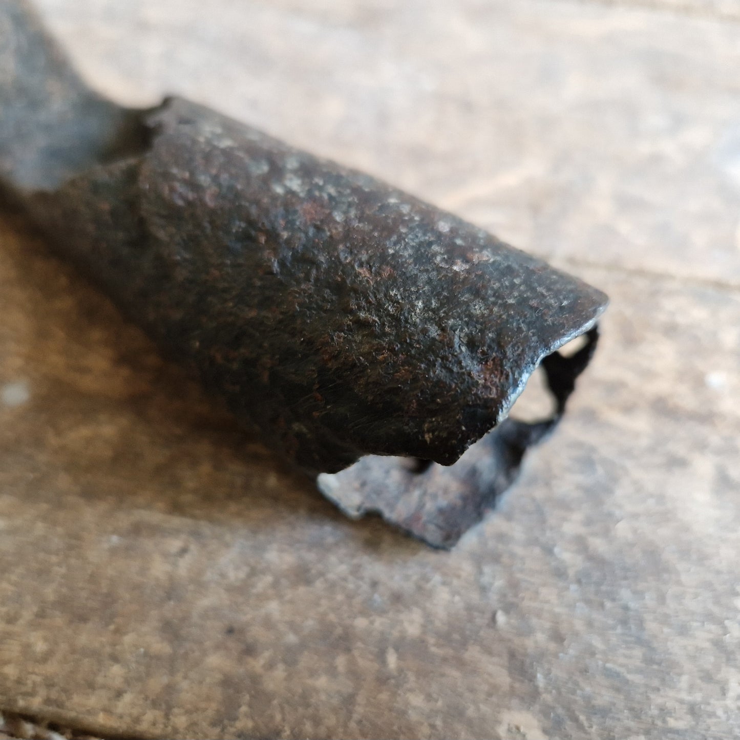 French antique eel fork. Folk art fish catching tool.