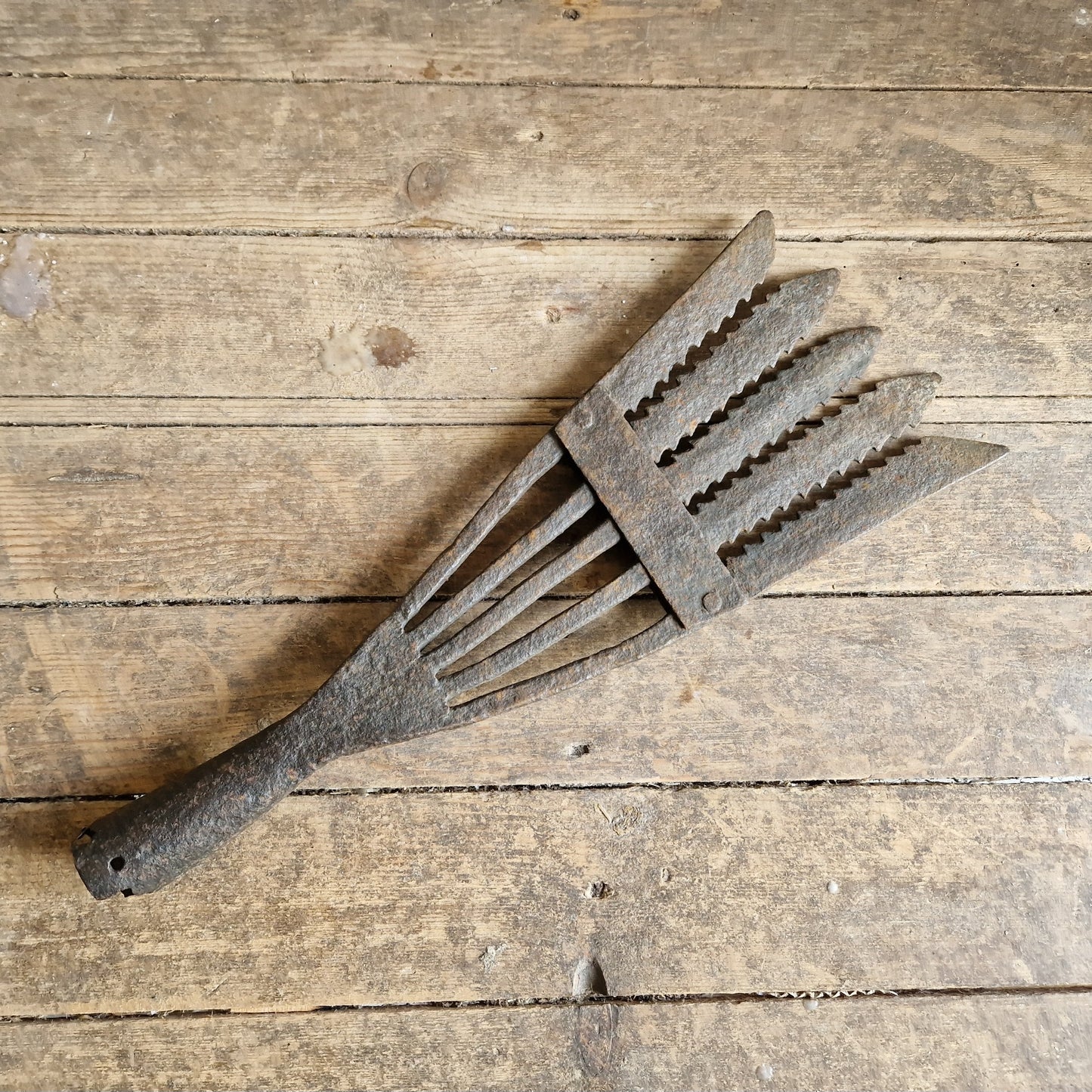 French antique eel fork. Folk art fish catching tool.