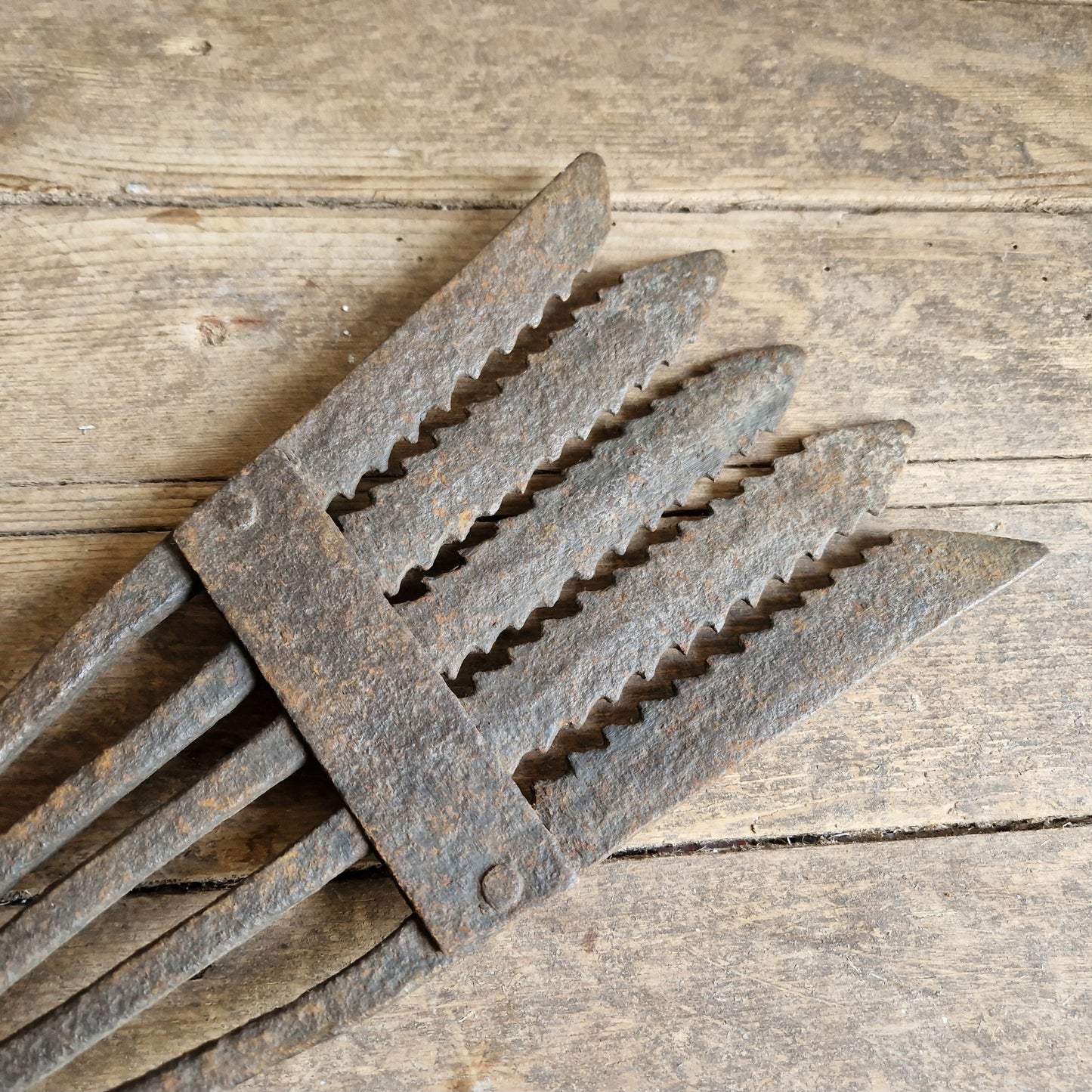 French antique eel fork. Folk art fish catching tool.