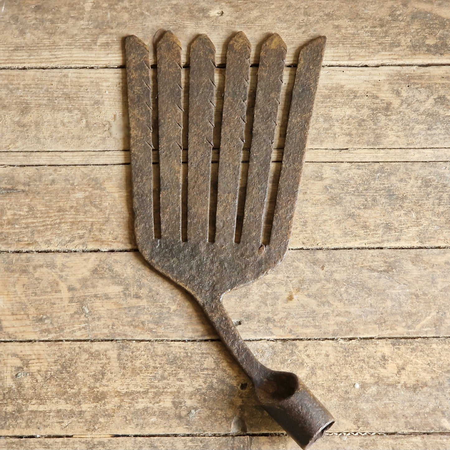Rustic metal eel fork on wooden surface