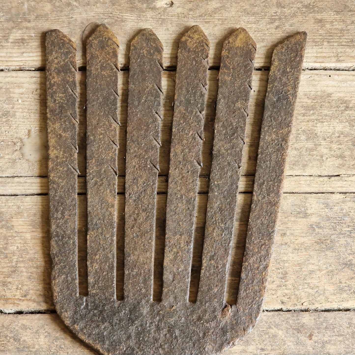 French antique eel fork. French folk art fish catching fork.