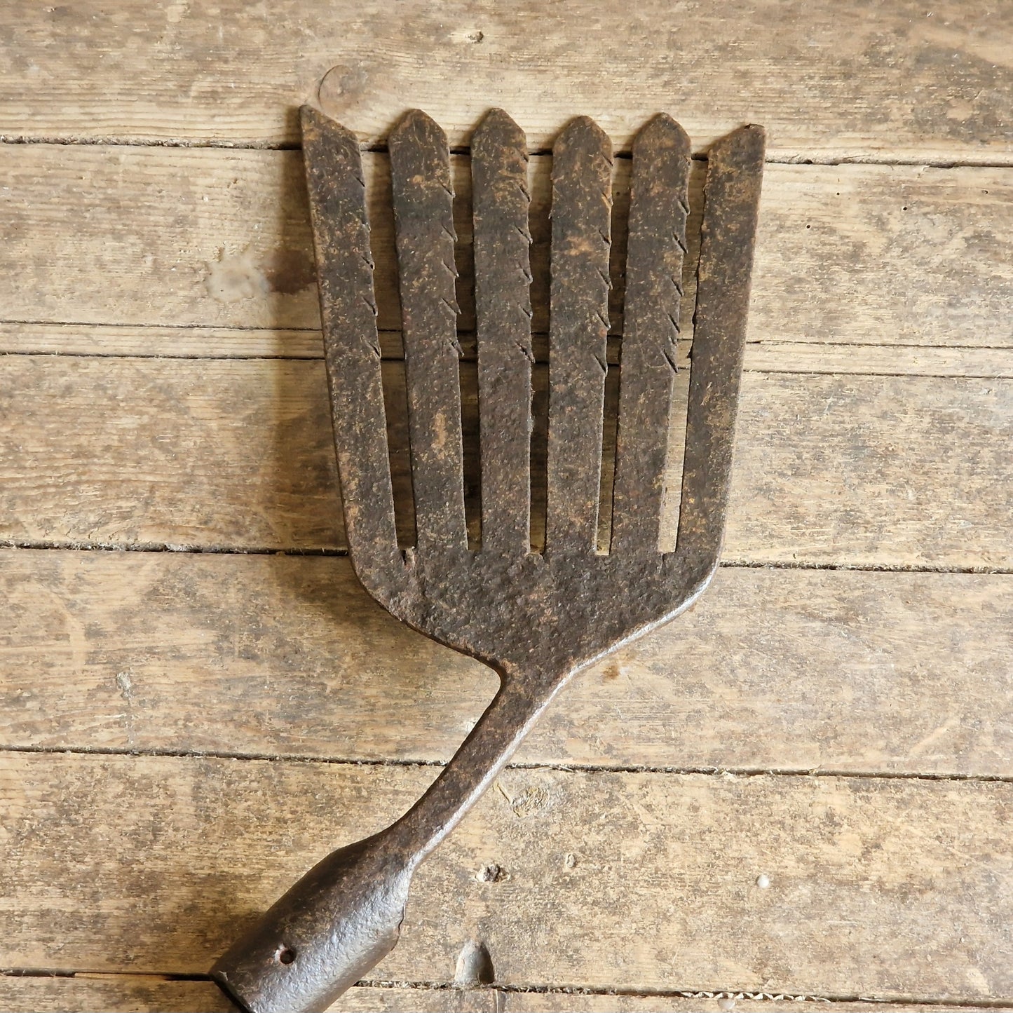French antique eel fork. French folk art fish catching fork.