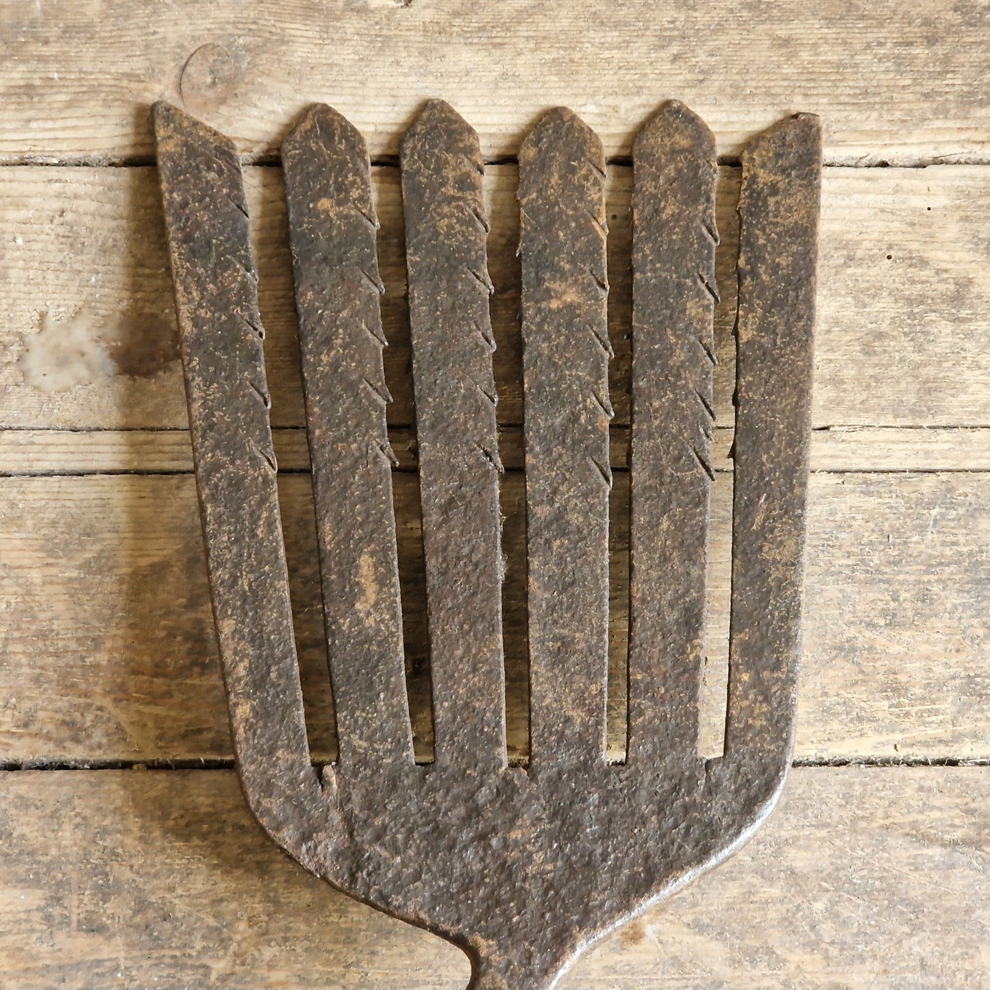 French antique eel fork. French folk art fish catching fork.