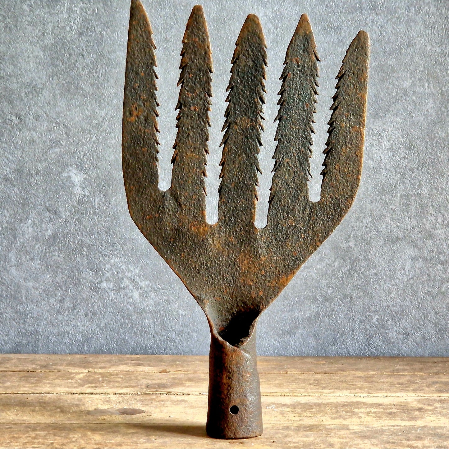 French antique eel fork. Folk art fishing tool.