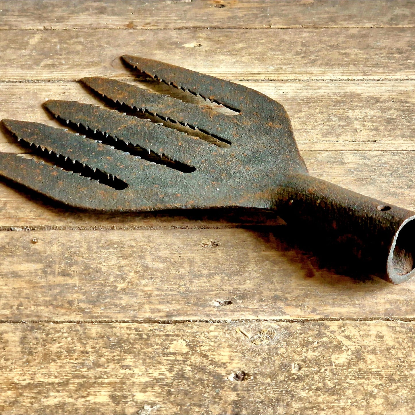 French antique eel fork. Folk art fishing tool.