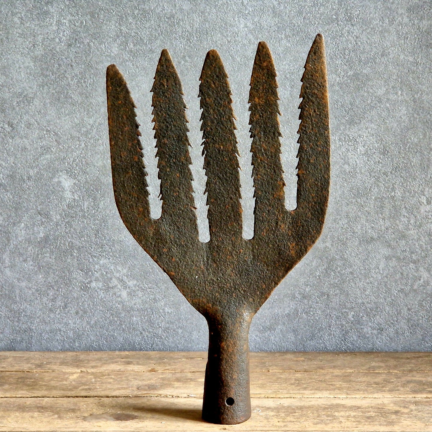 French antique eel fork. Folk art fishing tool.