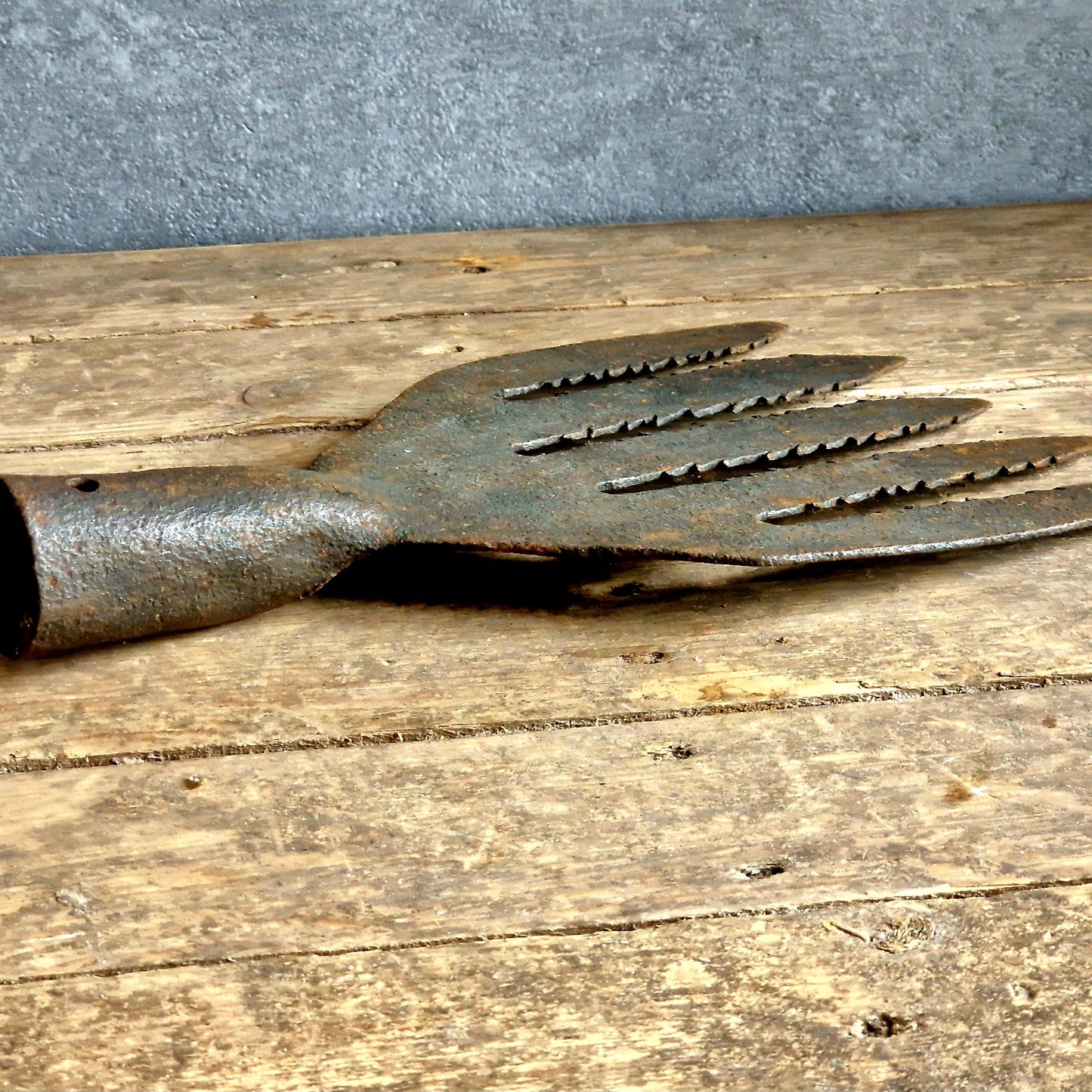French antique eel fork. Folk art fishing tool.