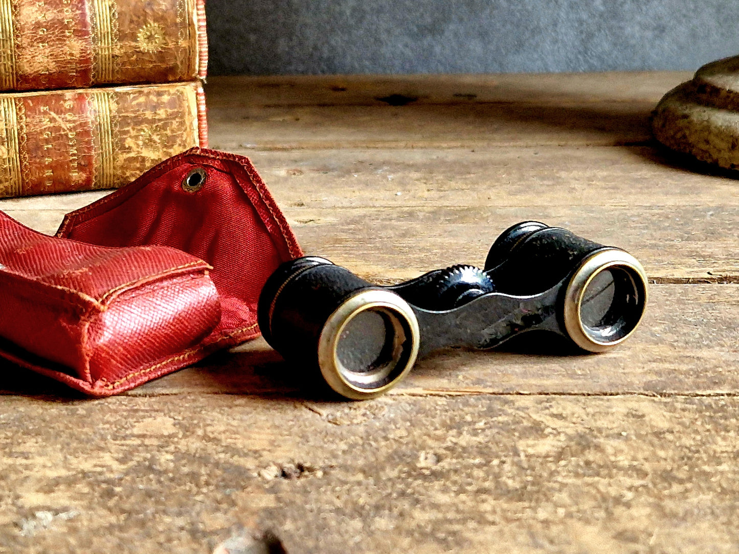 French vintage opera glasses in original case.