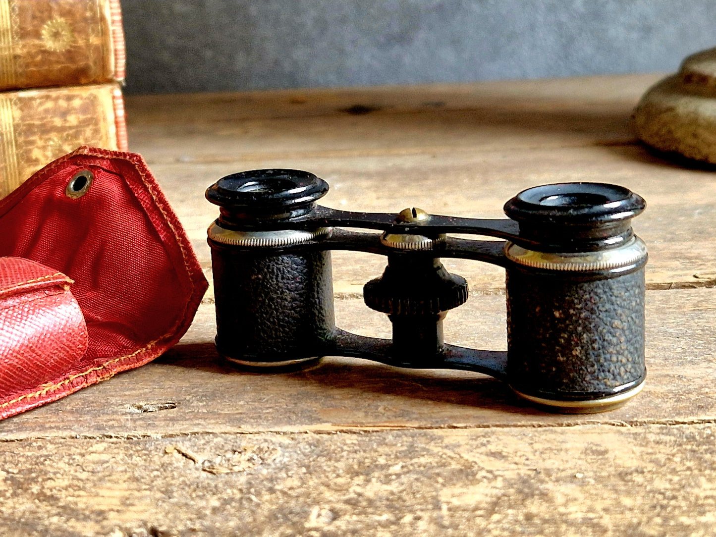French vintage opera glasses in original case.