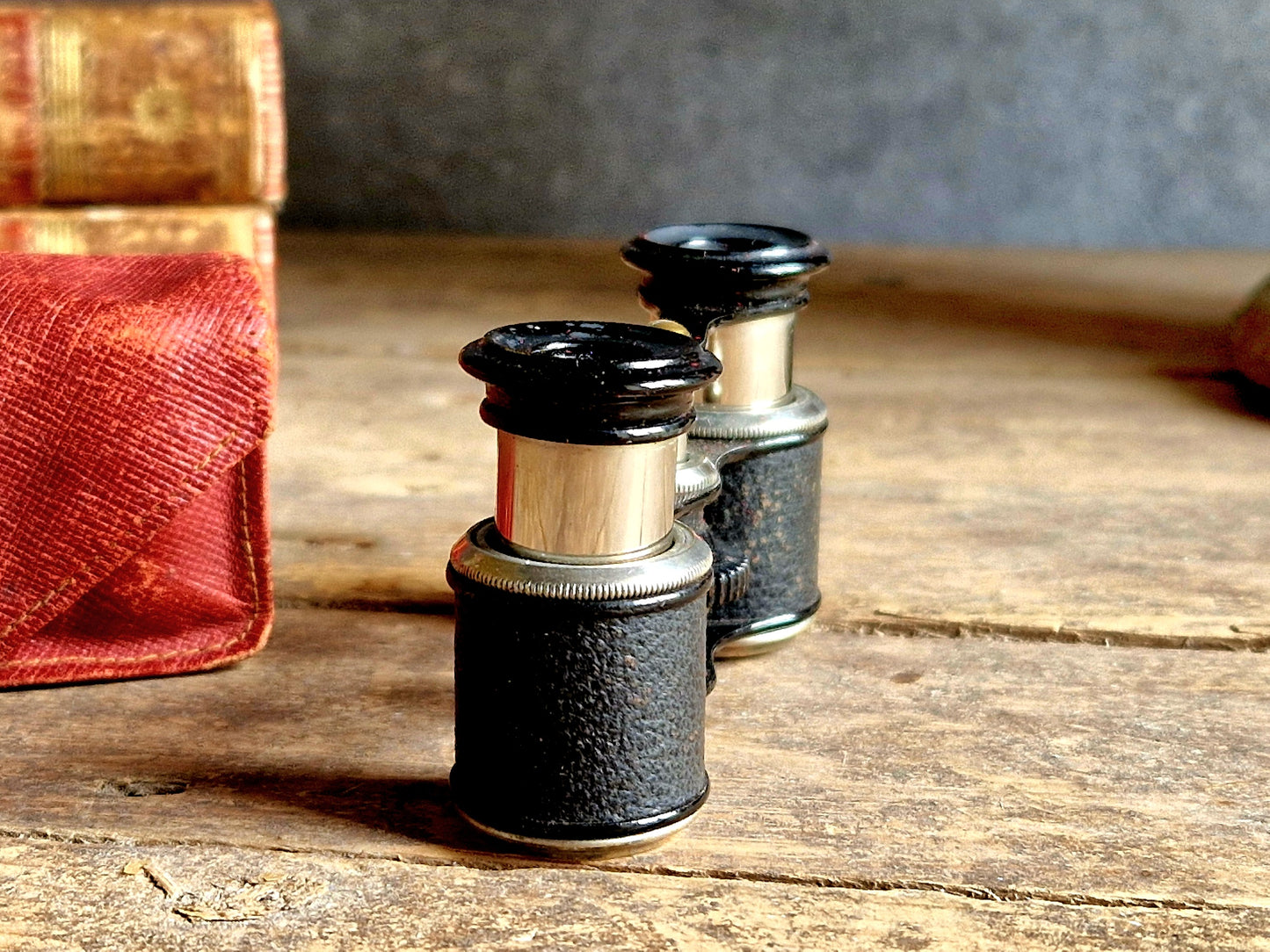 French vintage opera glasses in original case.
