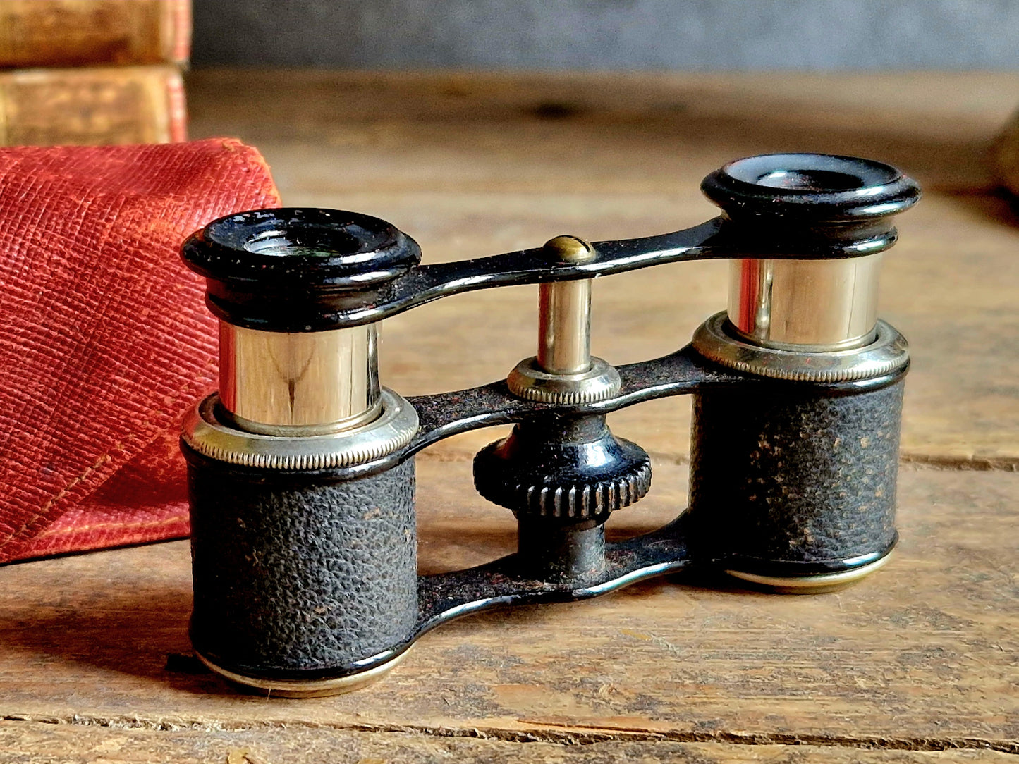 French vintage opera glasses in original case.