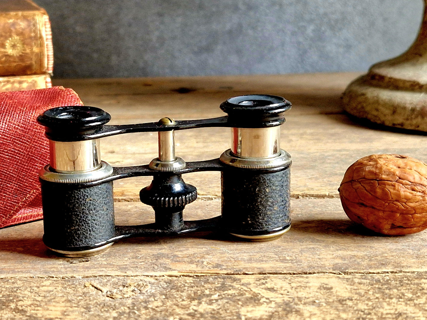 French vintage opera glasses in original case.