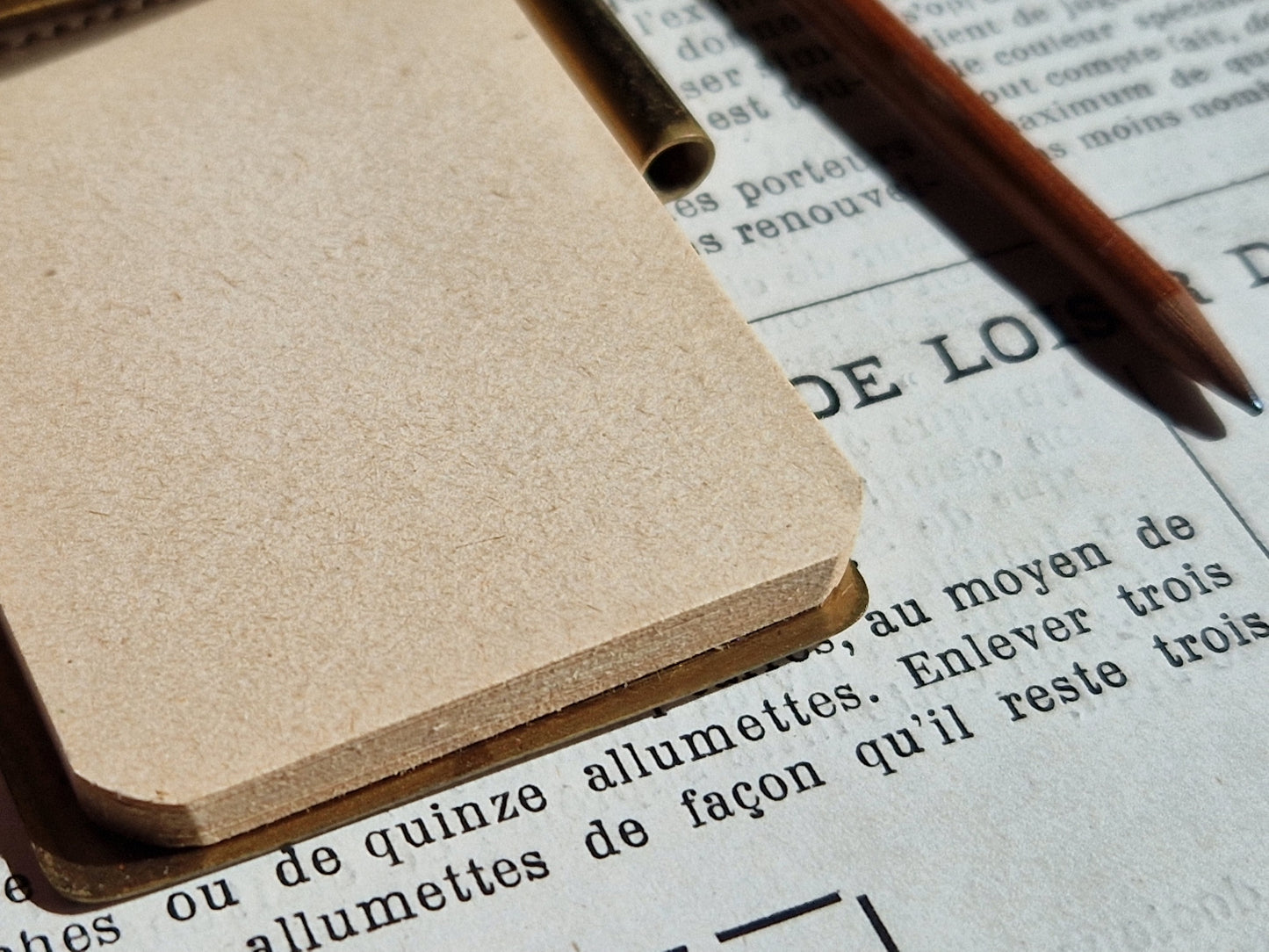 French aide memoire. Antique dance card holder. Carnet de bal.