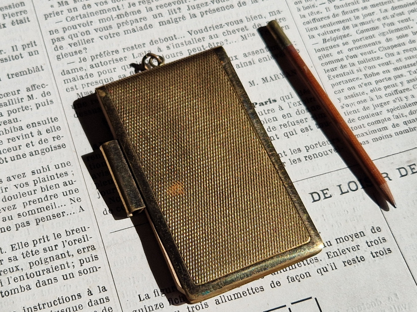 French aide memoire. Antique dance card holder. Carnet de bal.