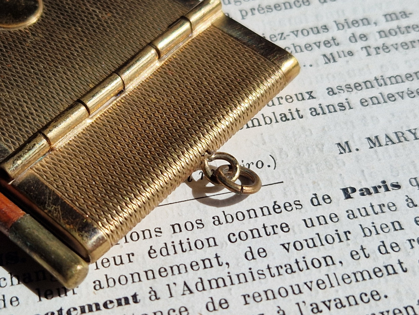 French aide memoire. Antique dance card holder. Carnet de bal.