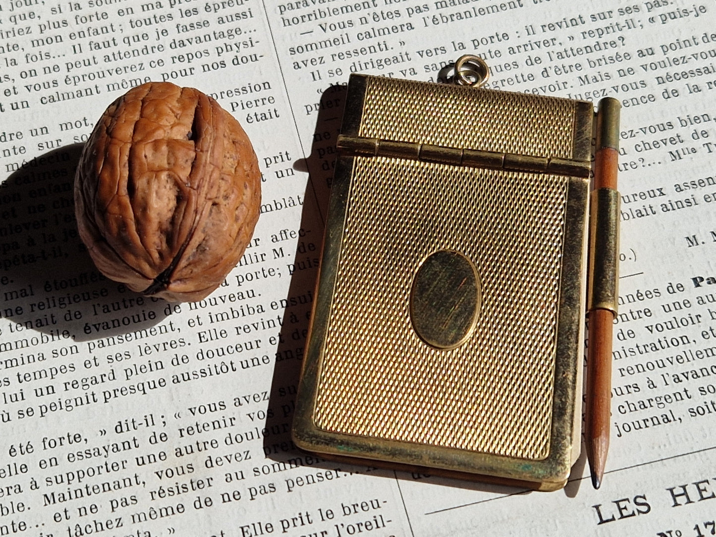 French aide memoire. Antique dance card holder. Carnet de bal.