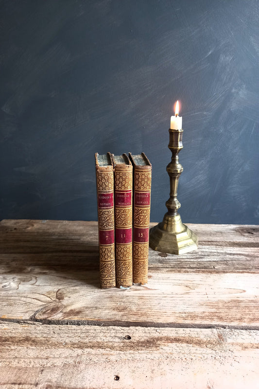 French antique books. Antiquarian books. Old books decor.