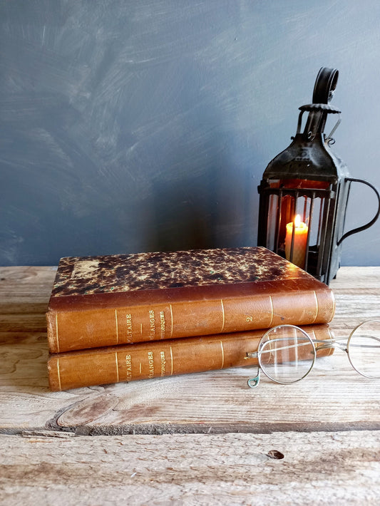 Antique books. French antique books. Antiquarian books.