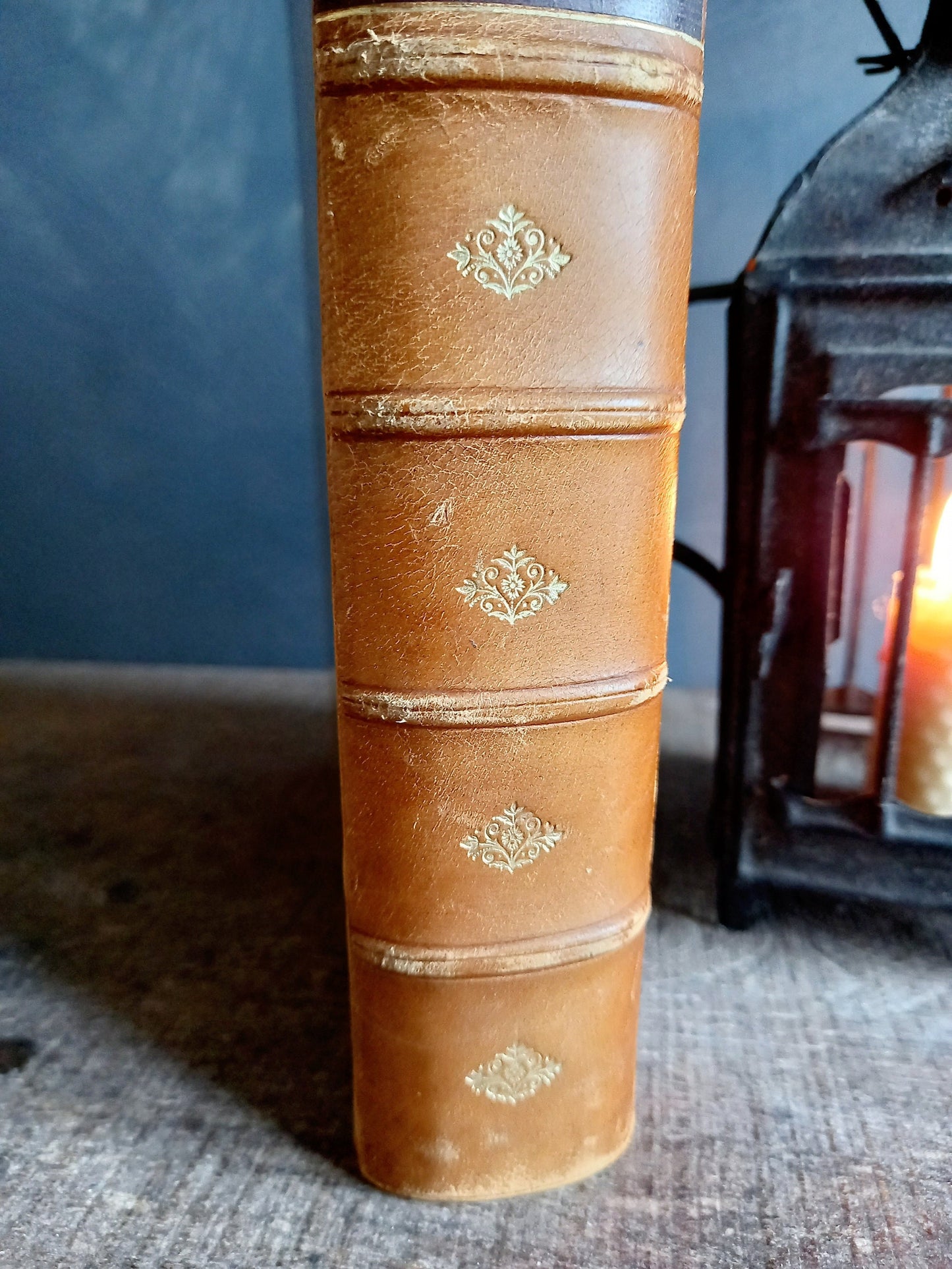 French antique book. Antique book. 19th century book. 1899 book.