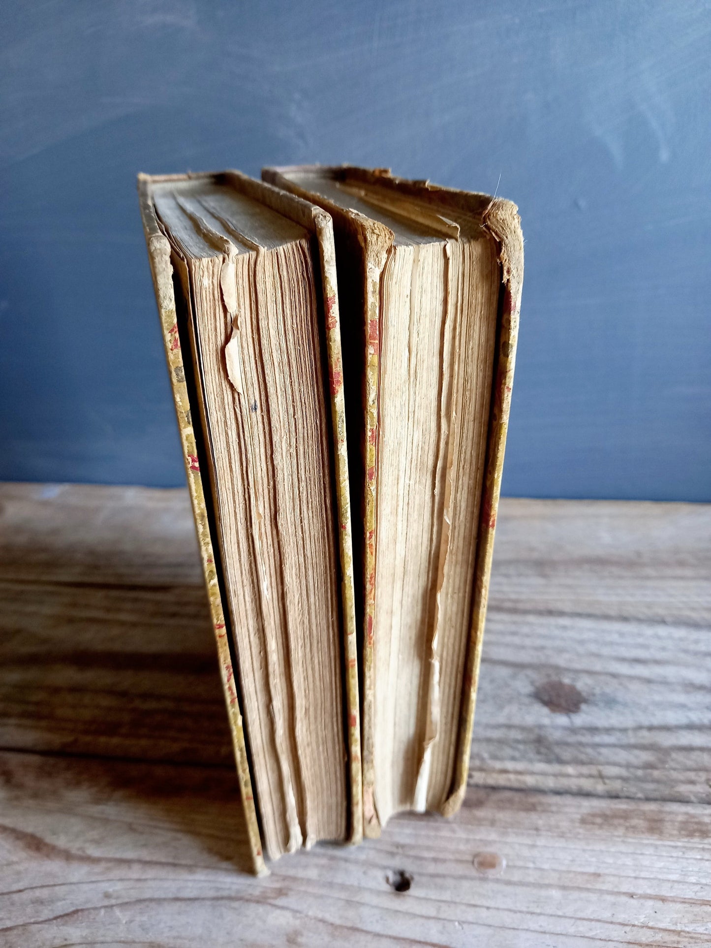 Antique books. Victorian books. French antique books.