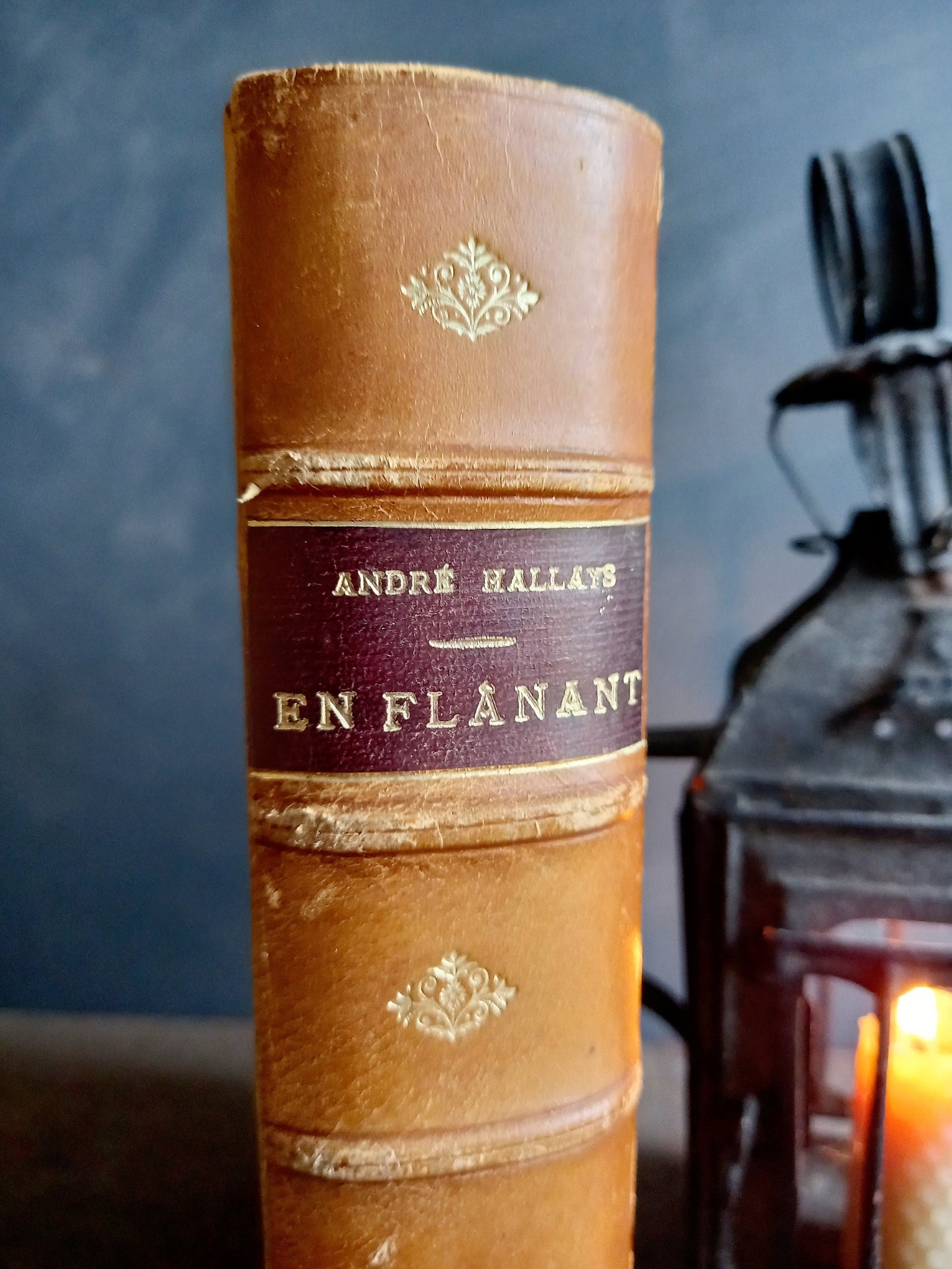 French antique book. Antique book. 19th century book. 1899 book.