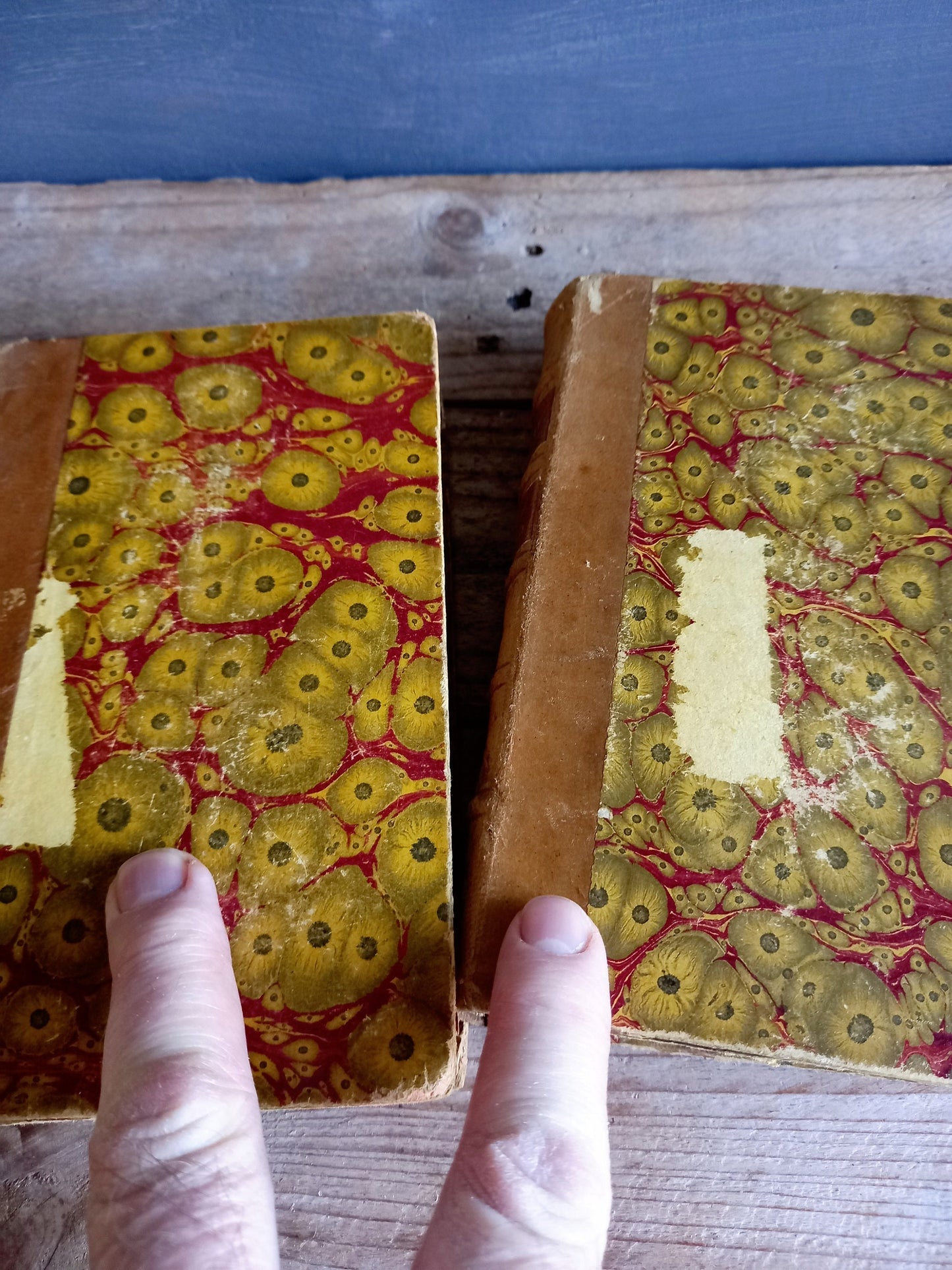 Antique books. Victorian books. French antique books.