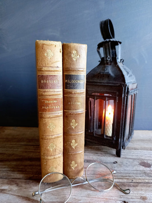 Antique books. Victorian books. French antique books.